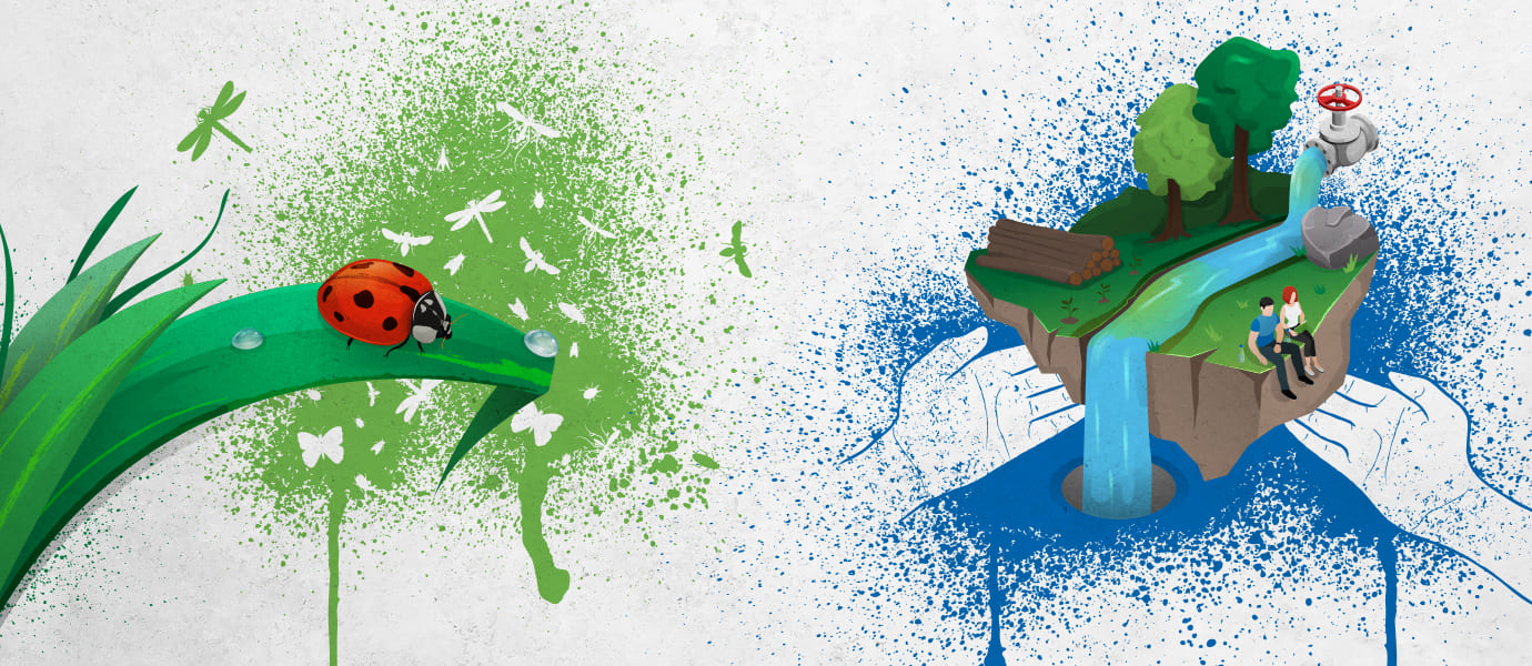 Klimapartner Wedel - Motiv - Natur Naturschutz Nachhaltige Energie Klimapartner Wedel - Motiv - Natur Naturschutz Nachhaltige Energie